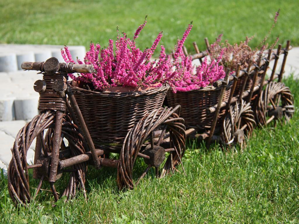 Farm stay Orlikowe Wzgorze Rabe (Bieszczady)